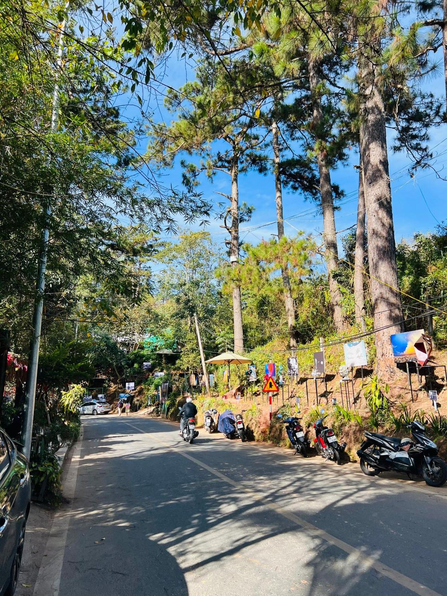 Nature Hotel - Dalat 3 外观 照片