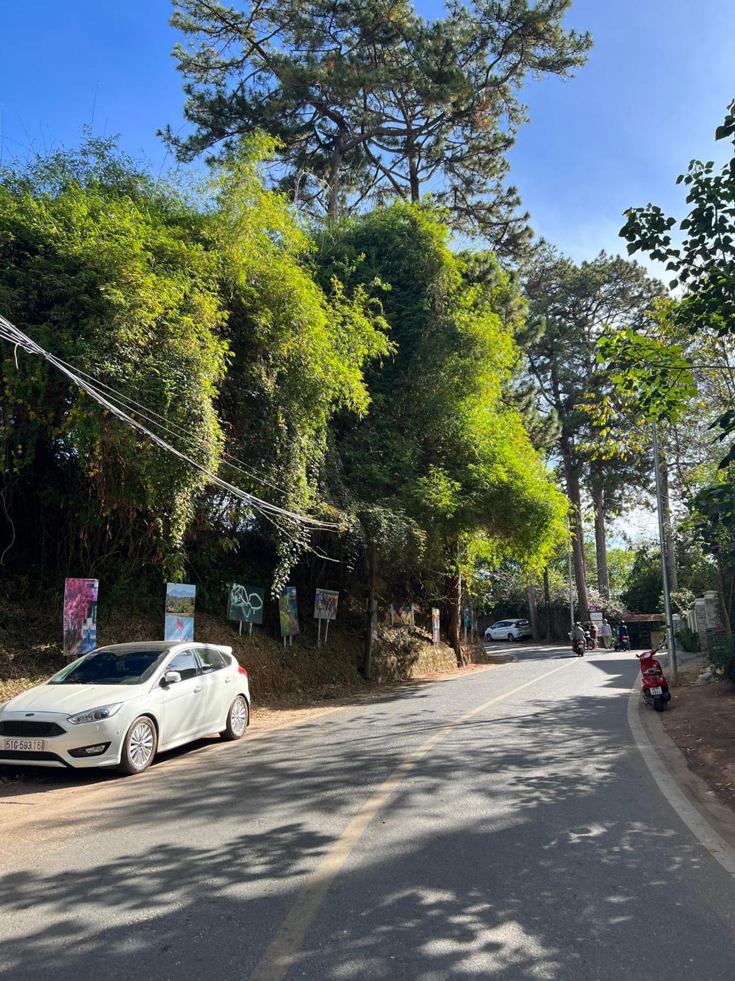 Nature Hotel - Dalat 3 外观 照片